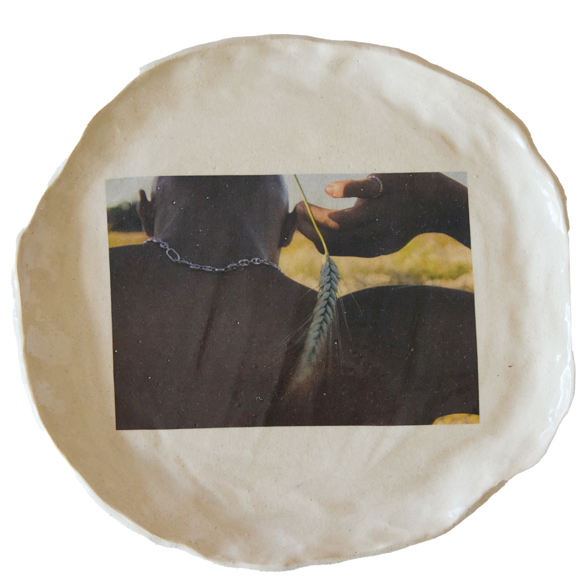 Tracing Skin - Plate